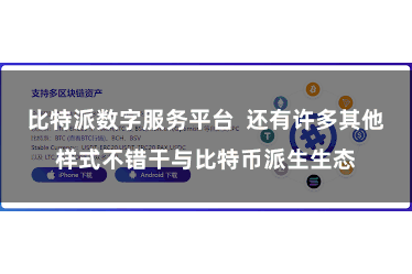 比特派数字服务平台  还有许多其他样式不错干与比特币派生生态